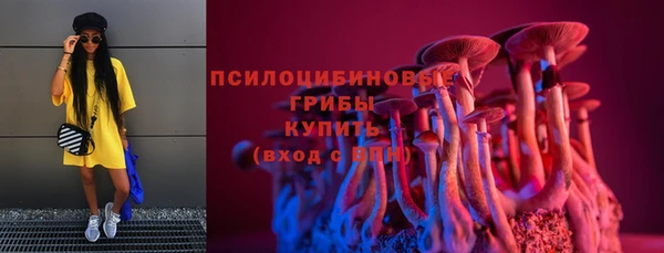 шишки Кукмор