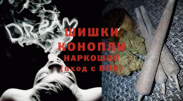 PSILOCYBIN Куйбышев