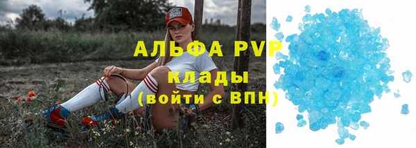 сатива Ладушкин