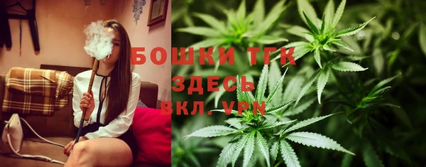 шишки Кукмор