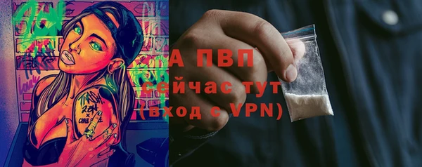 шишки Кукмор