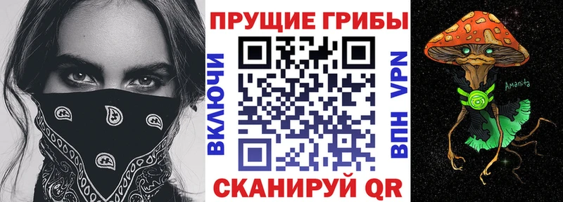 где продают   Сычёвка  Галлюциногенные грибы мухоморы 